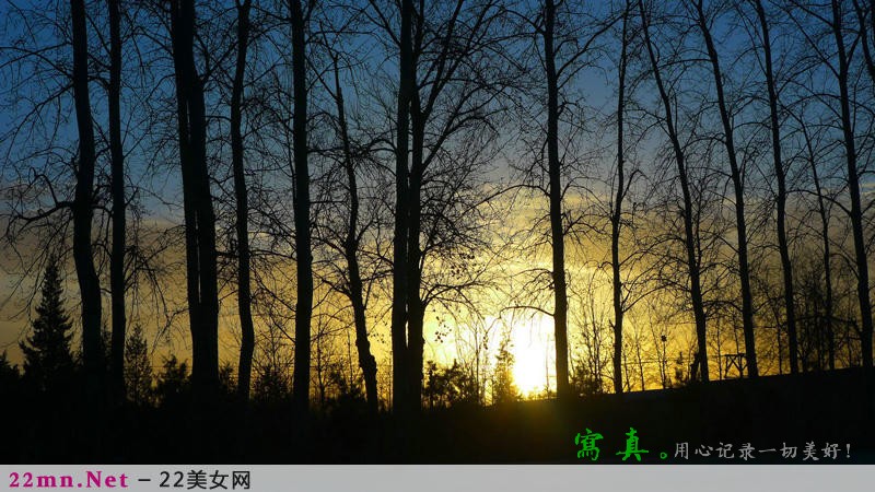 唯美清晨太阳照常升起8