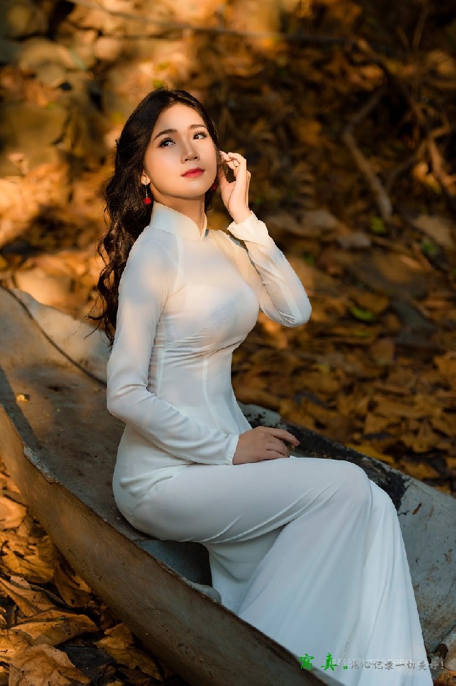 越南旗袍美女